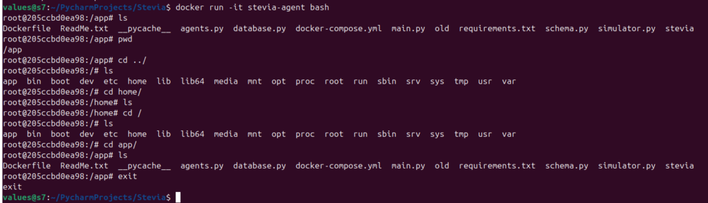 Terminal showing Docker run command and directory listings in Stevia project app folder.