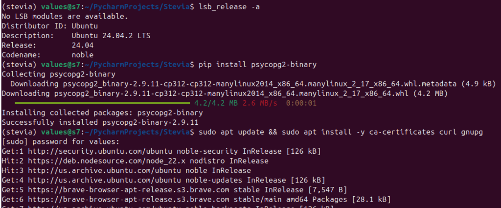 Terminal output showing pip installation of psycopg2-binary and sudo apt update on Ubuntu 24.04.2 LTS.