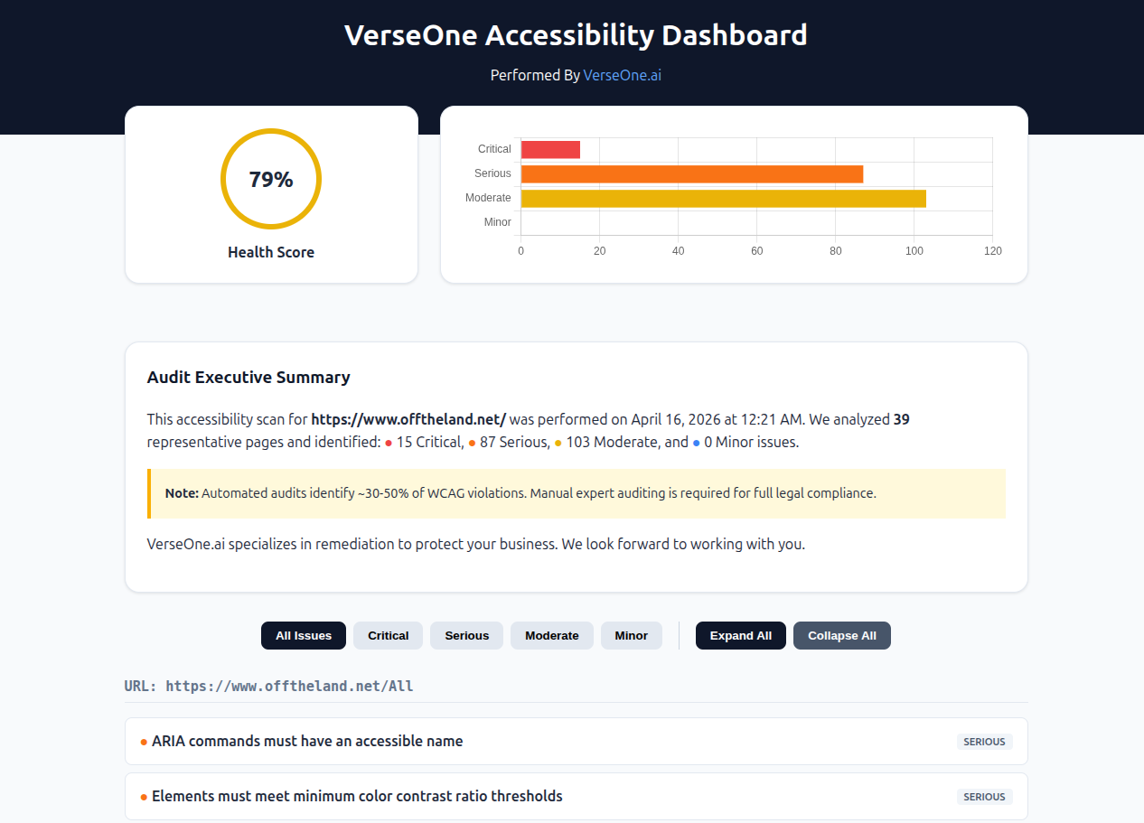 Accessibility Report Preview